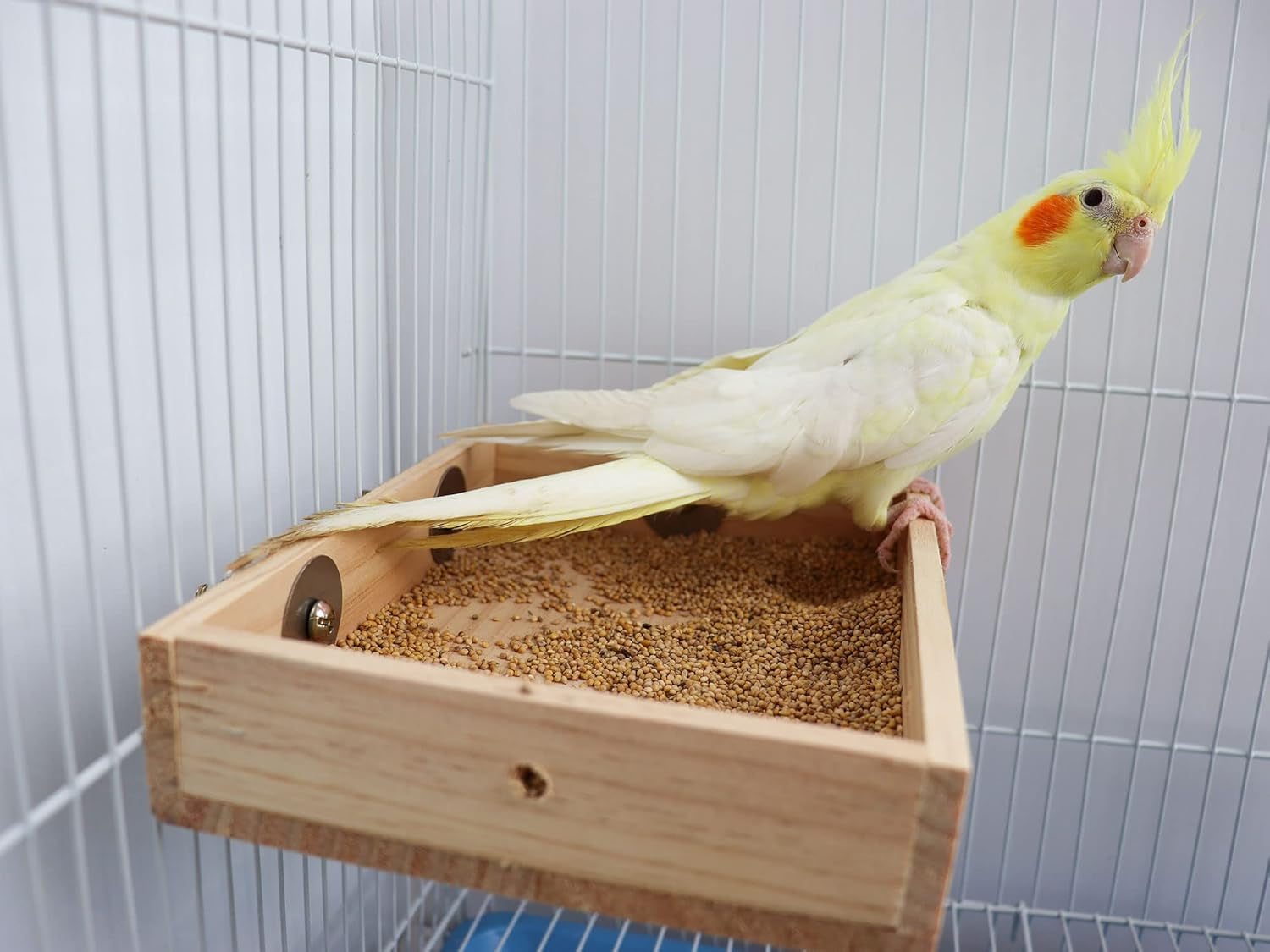 Bird Parrot Feeding Cups, Wooden Parrot Bird Perch Stand, Parakeets Food Dish, Cockatiels Standing Feeding Bowl, Cage Accessory for Small Animals Rats Conures Budgies Love Birds Pigeon Chinchilla