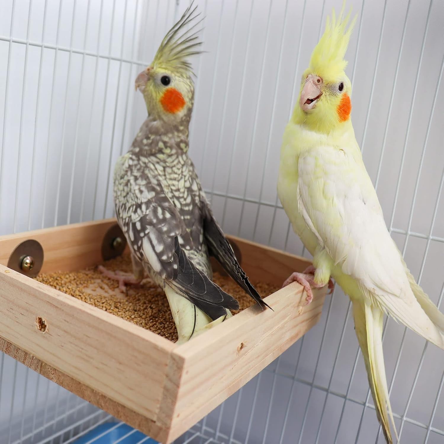 Bird Parrot Feeding Cups, Wooden Parrot Bird Perch Stand, Parakeets Food Dish, Cockatiels Standing Feeding Bowl, Cage Accessory for Small Animals Rats Conures Budgies Love Birds Pigeon Chinchilla
