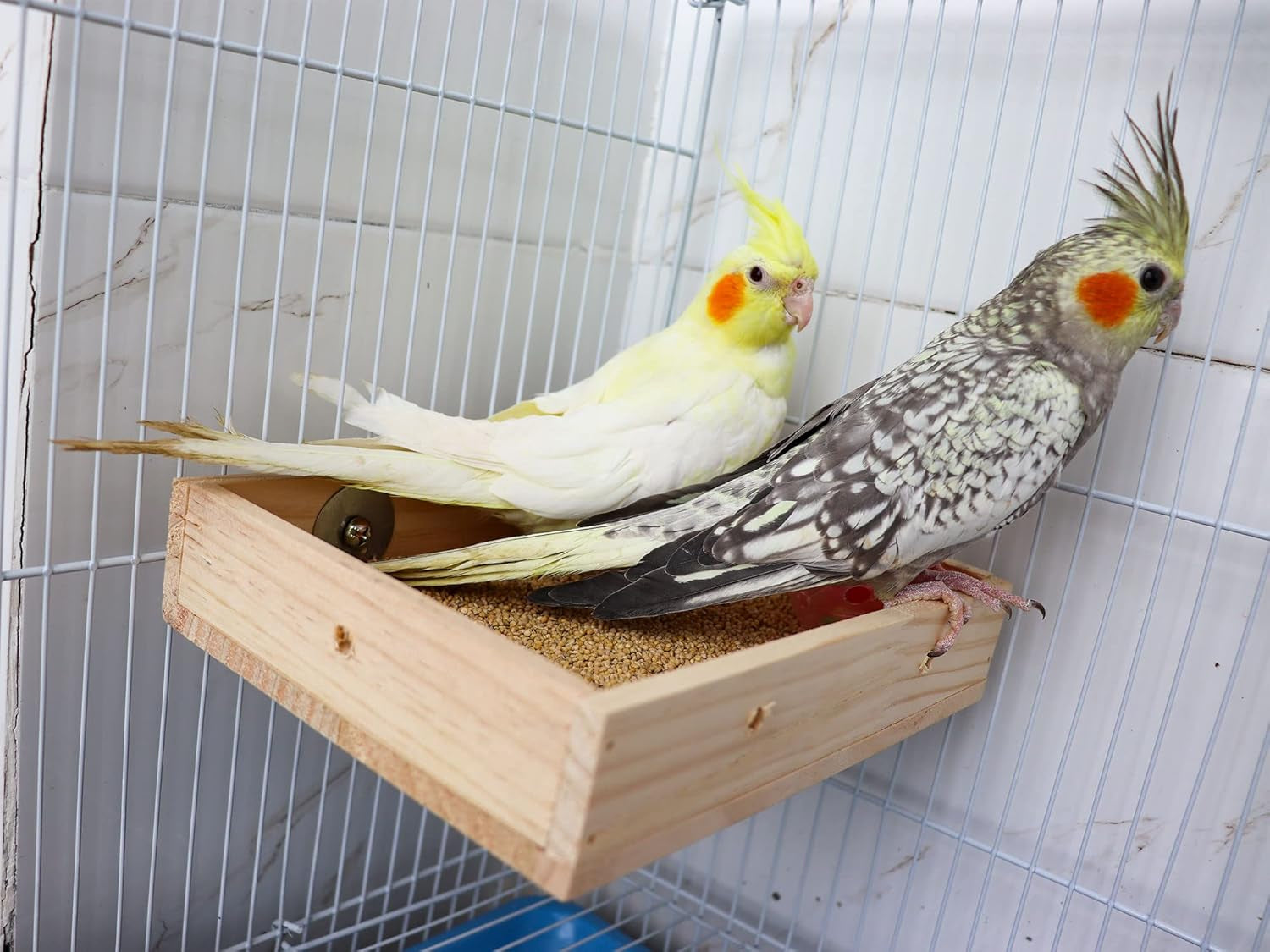 Bird Parrot Feeding Cups, Wooden Parrot Bird Perch Stand, Parakeets Food Dish, Cockatiels Standing Feeding Bowl, Cage Accessory for Small Animals Rats Conures Budgies Love Birds Pigeon Chinchilla